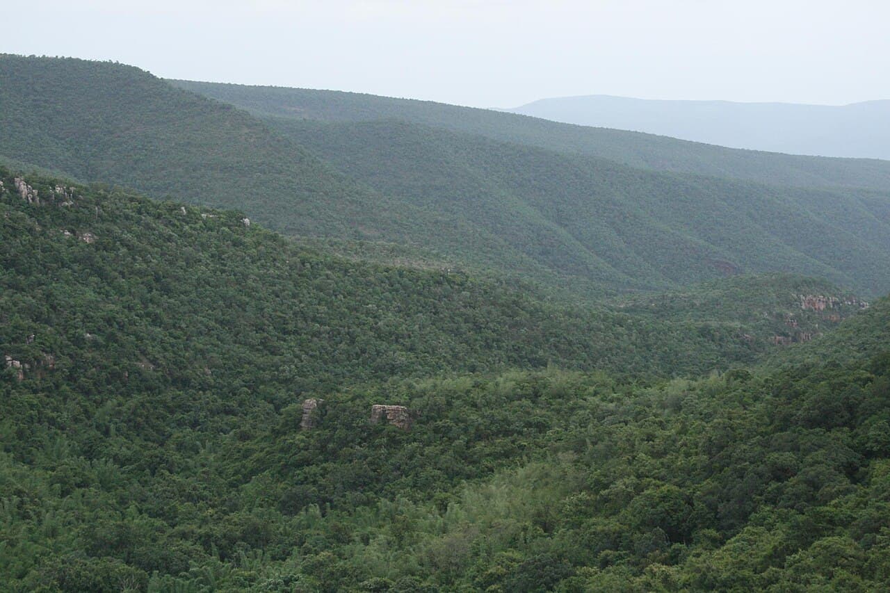 Talakona Waterfall & Sri Venkateswara National Park